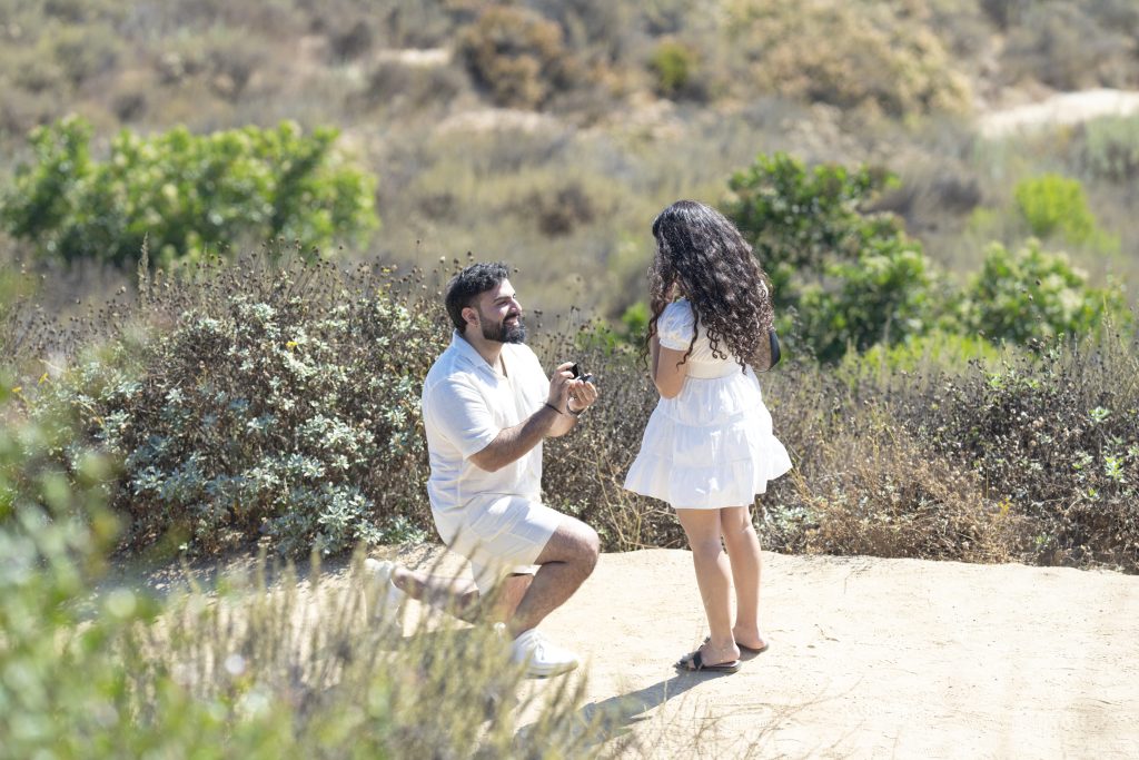 Farzam & Paris Wedding Proposal - 16